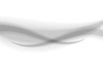 white grey soft wave shape graphic for background, abstract gray graphic smooth shape for banner copy space, blurred gradient grey wavy swirl soft effect, beautiful gray white wave curve for backdrop vector