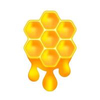honey bee on drops isolated on white, honey drops and honeycomb symbol, icon honey hexagon on blob splash, illustration bee comb on yellow gold drop splatter, honeycomb shape for product juice graphic vector