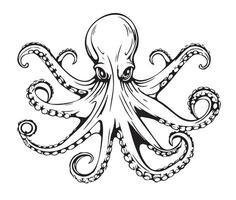a black and white drawing of an octopus on a white background vector