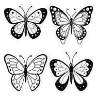 A butterfly with a black outline and the word butterfly on it vector