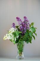 Lush white and lilac lilacs on a plain background photo