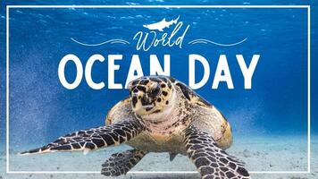 World Ocean Day Social Media Post template