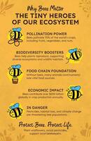 Bees Ecosystem Infographic template