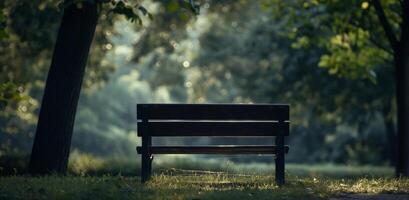 A bench in the middle of a park photo