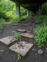 Concrete steps lead under a graffiti covered bridge in a natural setting photo