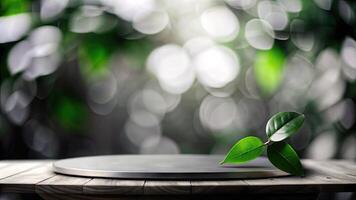 A single green leaf resting on a reflective surface. photo