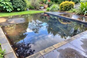 A reflective water feature enhances a tranquil garden setting. photo
