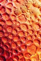 Close-up of vibrant orange honeycomb texture. photo