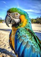 Vibrant parrot with bright blue and yellow feathers. photo