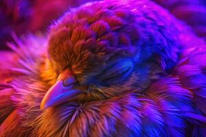 Close-up of a vibrant bird with fluffy feathers in neon light. photo
