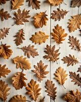 Autumn dried leaves arranged in rows on a rustic wooden surface photo
