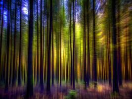 Blurred motion of tall trees creating a colorful forest scene. photo
