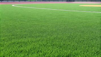 Freshly Mowed Green Grass on Professional Sports Field photo