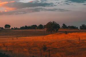 Serene Countryside Landscape at Sunset photo