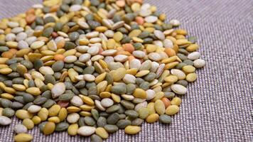 Mixed Assorted Seeds on a Textured Fabric photo