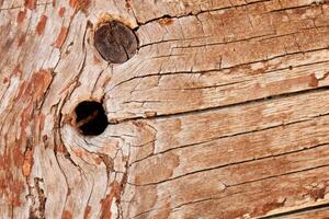 Rustic Wooden Surface with Natural Texture photo