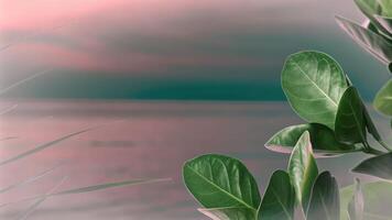 Close-Up of Green Plant Leaves Against a Soft Background photo