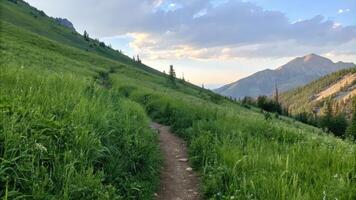Scenic Trail on a Green Hillside at Sunset photo