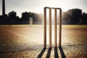 Cricket Stumps on a Field During Sunset Game photo