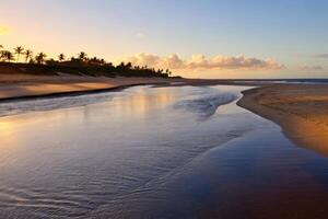Serene Tropical Beach with Calm Waves During Peaceful Sunset photo