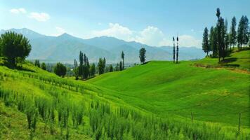 Scenic Green Hills and Forests Under a Bright Blue Sky photo