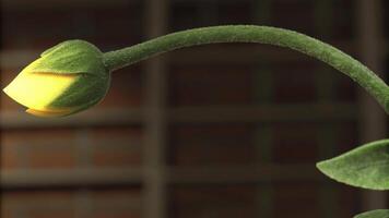 Budding Plant with Glowing Light Bulb Effect photo