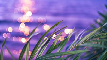 Tropical Plant with Soft Purple Light and Bokeh photo