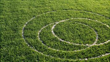 Grass Field with Circular Patterns in a Geometric Design photo