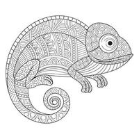 Intricate Chameleon Line Art for Coloring pages vector