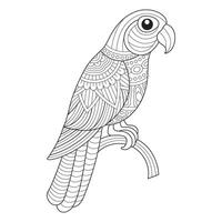 Intricate Parrot Line Drawing for Coloring Page vector