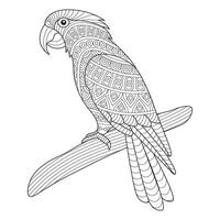Intricate Parrot Line Drawing for Coloring Pages vector