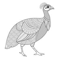 Intricate Bird Line Art for Coloring Pages vector
