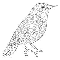 Intricate line art of a bird with detailed patterns, suitable for coloring vector