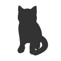 Kitten silhouette isolated on white background. Sitting cat silhouette. Feline shadow vector