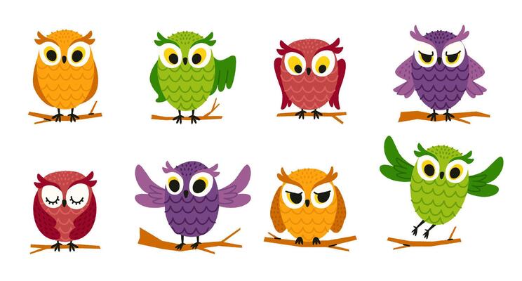 Cute owl on branch. Cartoon owl bird character, colorful zoo wildlife nocturnal predator birds with big eyes, owls flat collection. bird isolated set