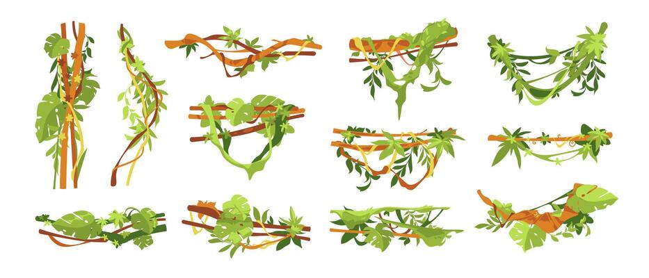 Liana branch. Jungle vine plant with ivy leaves, tropical forest vines plants, exotic jungles hanging branch, botanical decorative twisted lianas creeper elements. liana set