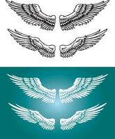 Wings Line Art Variation Set vector