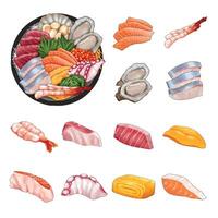 Semi real sashimi set element with big bowl sashimi handdrawn graphic on white background vector