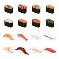 Semi real sushi set element handdrawn graphic on white background vector