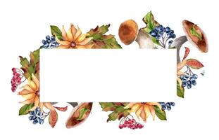 Autumn border of edible mushrooms with blooms and viburnum red berries in watercolor isolated. Maple leaves and black chokeberry painted in botanical. Invitation with fall floral elements hand drawn. vector
