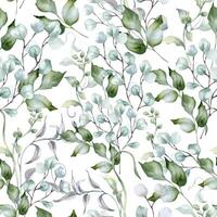 Eucalyptus branches, holly leaves and curly vines in pastel watercolor isolated. Delicate foliage seamless pattern in sage green hand drawn for design textile. wrapping paper. Green flora background vector