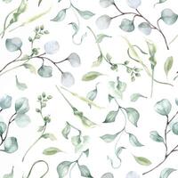 Watercolor eucalyptus leaves pale green seamless pattern isolated. Soft green foliage texture repeated of plants branches hand drawn. Greenery background for design textile, wallpaper, package vector