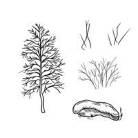 Bare tree and shrub hand drawn black white outline illustration. Winter tree, dried grass and stone under snow monochrome graphic sketch. Leafless branches silhouette for woodland scene. vector