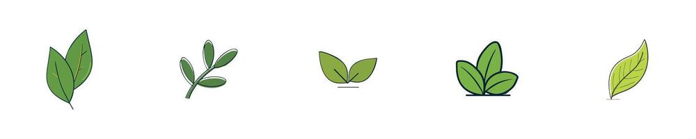 Set of Green Leaf Designs vector