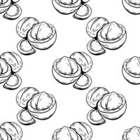 Seamless macadamia nut pattern in black and white line art vector