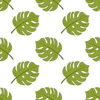 Tropical monstera leaf seamless pattern for summer design vector