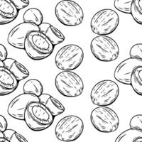 Coconut seamless pattern in black and white line drawing vector