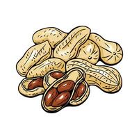 Colored peanut cluster in hand drawn engraving style vector