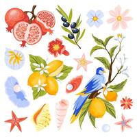 Collection of Mediterranean Summer Inspired Object vector