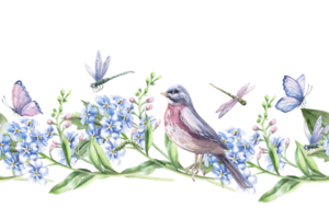 Seamless border with curved branches of forget-me-not and a bird. Isolated watercolor illustration of bouquets for design of packaging of cosmetic products, candies, printing on clothes. png